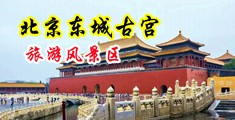 白丝美女被操死中国北京-东城古宫旅游风景区